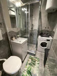 La salle de bains est pourvue de toilettes et d'un lave-linge. dans l'établissement Like home2, à Belgrade