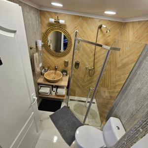 a bathroom with a shower and a toilet and a sink at Apartament M Vatra Dornei in Vatra Dornei