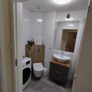 La salle de bains est pourvue d'un lavabo, de toilettes et d'un miroir. dans l'établissement Modern Art Kredytowa-Dzieci do lat 7 nie płacą!, à Varsovie