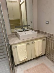 a bathroom with a sink and a mirror at Charming luxurious 2 bedroom apartment in zamalek in Cairo