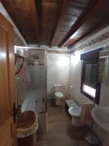 a bathroom with a shower and a toilet and a sink at Casa rural Labrador a 9k de Monfragüe in Torrejón el Rubio