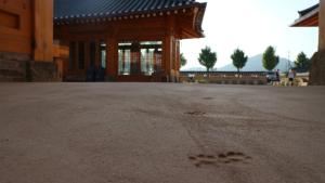 Gallery image of Ipsaedal Semenal in Gyeongju