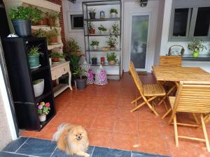 O bucătărie sau chicinetă la Casa Raposeira