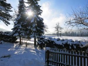 un patio cubierto de nieve con una valla y un árbol en Ferienwohnung Tischneck, en Schramberg