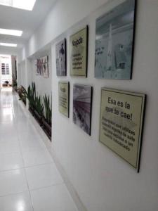 Imagem da galeria de Casa Turistica Zamboss em Montería