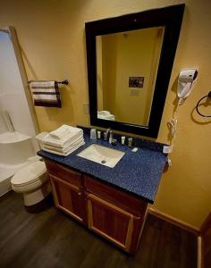 a bathroom with a sink and a toilet and a mirror at Cedar Mountain -Suite C in Grants Pass