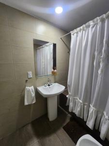 La salle de bains est pourvue d'un lavabo et d'un rideau de douche blanc. dans l'établissement Departamento excelente ubicación, à Godoy Cruz