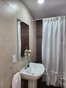 La salle de bains est pourvue d'un lavabo et d'un rideau de douche. dans l'établissement Departamento excelente ubicación, à Godoy Cruz