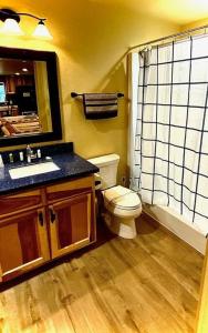 a bathroom with a toilet and a sink and a mirror at Cedar Mountain Suite E in Grants Pass