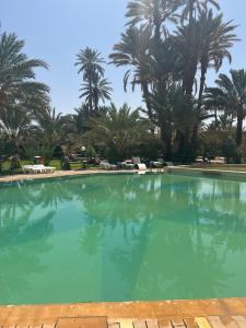 a large swimming pool with palm trees in the background at Appart-hotel la lune du desert in Erfoud
