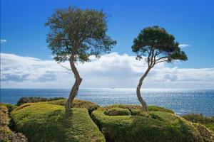 布莱尔高里BLAIRGOWRIE VIEWS..front beach location location.的相册照片