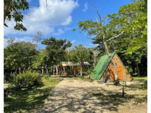una tienda en medio de un campo con árboles en RAINBOW FOREST Permaculture filed - Vacation STAY 78984v, en Ibaruma