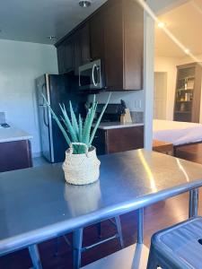 a table with a potted plant on it in a kitchen at Gorgeous 2bed in Century City in Los Angeles
