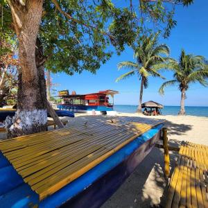 a wooden bench on a beach with palm trees and the ocean at Bolo Hills Beach Club And Residence in Alaminos