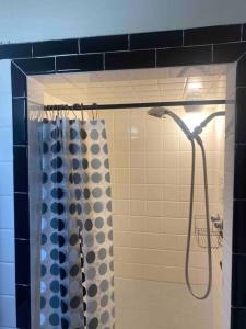 uma casa de banho com uma cortina de chuveiro em Spacious & Cozy Studio, Short Walk to Yale em New Haven