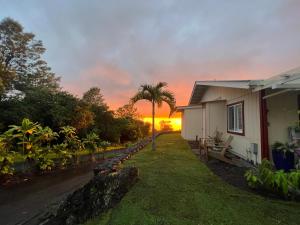 a house with a palm tree in front of a sunset at Mango Sunset Bed and Breakfast in Kailua-Kona