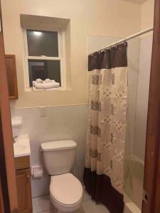 een badkamer met een toilet en een douchegordijn bij A private humble abode in Brooklyn