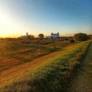 un camino de tierra en un campo con casas en el fondo en Departamento en Ciudad De La Punta en La Punta