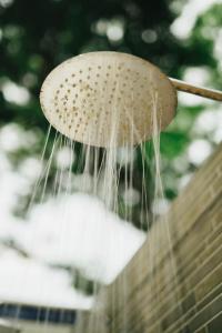 a drop of water dripping from a mushroom at Emerald Manor Hotel in Kababae