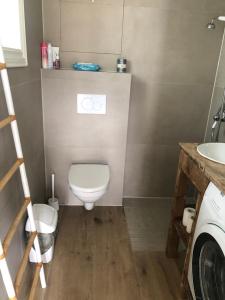 a small bathroom with a toilet and a sink at Pittelille - supercozy small luxury in Henningsvær in Henningsvær