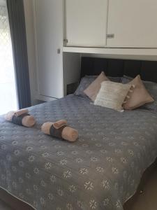 1 dormitorio con 1 cama con 2 zapatillas en GUESTHOUSE on REGENT Bed & Breakfast en Caloundra