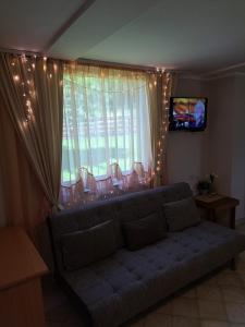 TV a/nebo společenská místnost v ubytování Apartman Cherry Gradac Valjevo