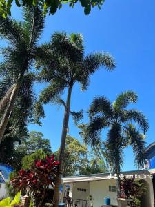 two palm trees in front of a building at cher lonely beach resort Koh chang in Ko Chang