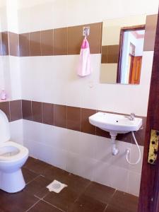 姆瓦帕的住宿－Bliss homestay apartment with swimming pool，一间带卫生间和水槽的浴室