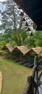 a row of benches with straw umbrellas and palm trees at Sigiri Heritage Villa in Sigiriya
