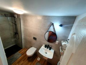 a bathroom with a toilet and a sink and a shower at La Izvoare in Clopotiva +69 photos