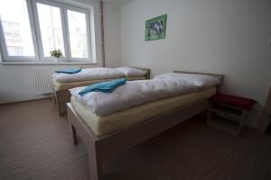 Postel nebo postele na pokoji v ubytování Vila Aneta