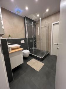 ein Bad mit einer Dusche, einem Waschbecken und einem WC in der Unterkunft Welcome on Board in Nürnberg