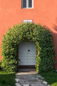 A garden outside Casavilla Rentals by Torre a Cona