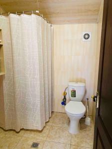 a bathroom with a toilet and a shower curtain at Tranquil Forest Retreat cozy Cottage near Sevan in Sevan