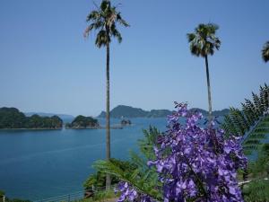 deux palmiers et des fleurs violettes devant un lac dans l'établissement fan! -ABURATSU- Sports Bar & HOSTEL - Vacation STAY 78456v, à Nichinan