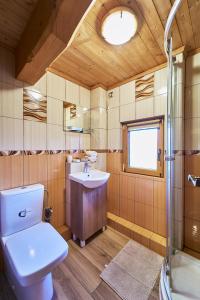 a bathroom with a toilet and a sink and a shower at Marel - apartments Domek Kołodziejówka Polanica Zdrój in Polanica-Zdrój