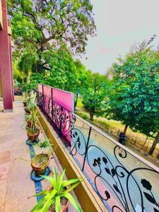 eine rosa Bank mit Topfpflanzen in einem Park in der Unterkunft Infinity Hotel in Lahore