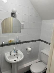 y baño con aseo, lavabo y espejo. en Kylemore Lakeview Retreat en Blessington