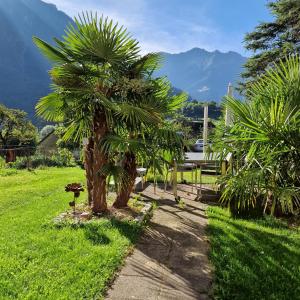 una palmera junto a un banco en un parque en Relais del Sosto, en Olivone