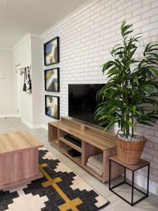 a living room with a television and a potted plant at BALLITO HILLS , 2 bedroom apartment in Ballito