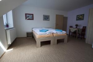 Postel nebo postele na pokoji v ubytování Vila Aneta