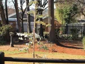 Wild Tree Lodge外面的花园
