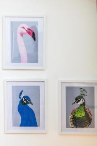 três imagens emolduradas de pássaros numa parede em Hidden Gem – Luxe Clifton Apartment with Views em Bristol
