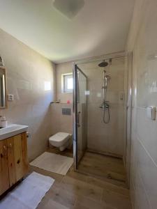 a bathroom with a shower and a toilet at Chata Sára in Snina