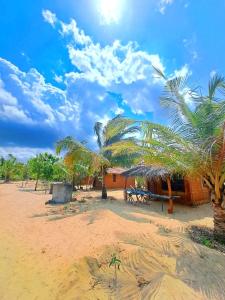 a house on the beach with a palm tree at Ganesh Gate in Pottuvil