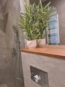 a bathroom with a shower with a plant on a counter at VENICE VILLA Apartment, self check-in 24h, free parking in Poznań