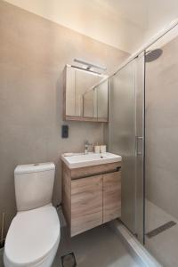 a bathroom with a toilet and a sink and a shower at Fani's City Apartment in Rhodes Town