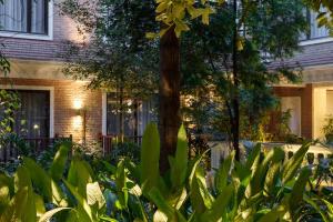 a tree with green plants in front of a house at Hotel Thrive, A Tropical Courtyard in Kathmandu