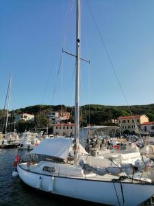 a white sailboat docked in a harbor with other boats at Cavo Beach 2 in Cavo