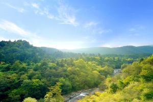 an aerial view of a river in a forest at Shelter Garden Nikko in Nikko